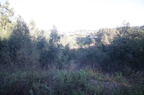 Armazém em Sever do Vouga