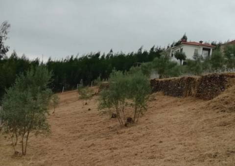Terreno em Castelo de Paiva