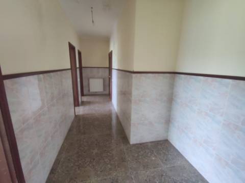 Apartamento T3 em Carregosa