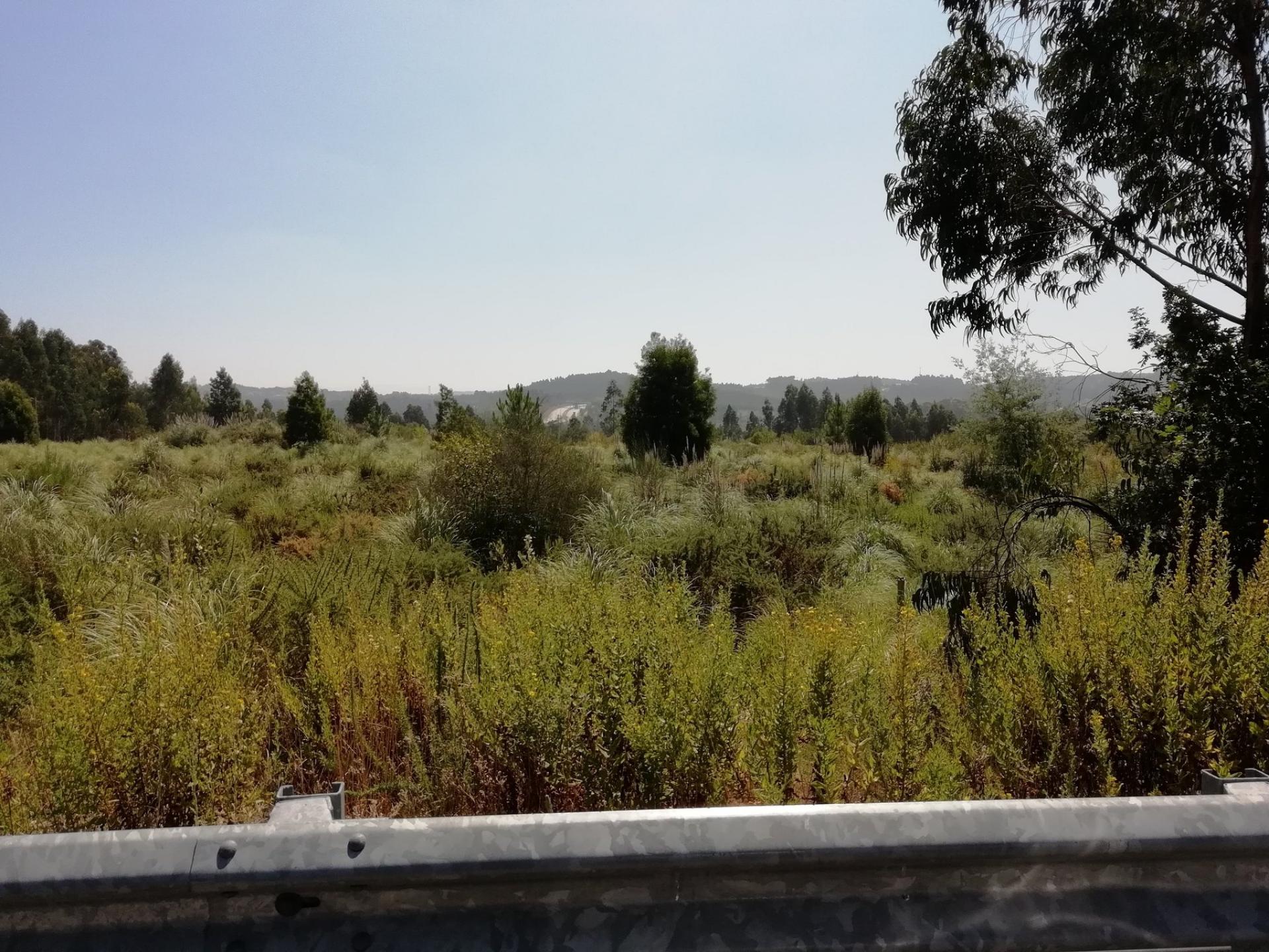 Terreno Urbano em Sandim