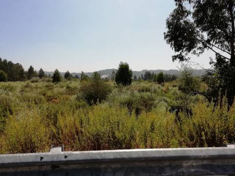 Terreno Urbano em Sandim