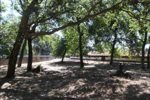 Quinta/Herdade em Fiães, Santa Maria da Feira