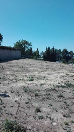 Terreno em Pinheiro da Bemposta