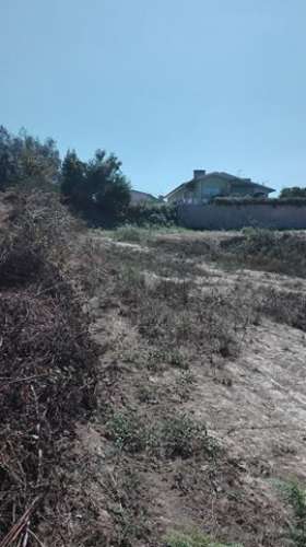 Terreno em Pinheiro da Bemposta
