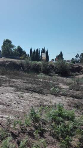 Terreno em Pinheiro da Bemposta