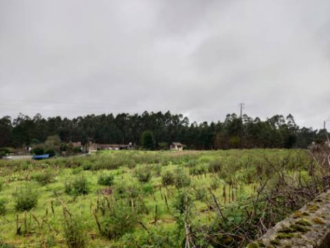 Terreno para Construção em UL, Oliveira de Azeméis