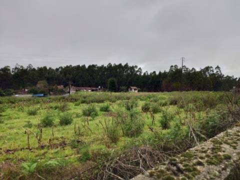 Terreno para Construção em UL, Oliveira de Azeméis