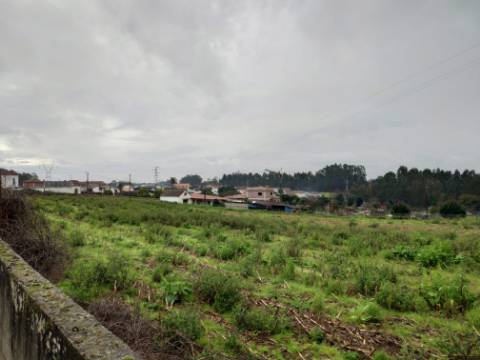 Terreno para Construção em UL, Oliveira de Azeméis