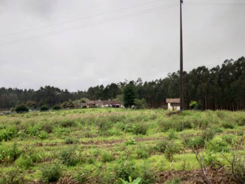 Terreno para Construção em UL, Oliveira de Azeméis