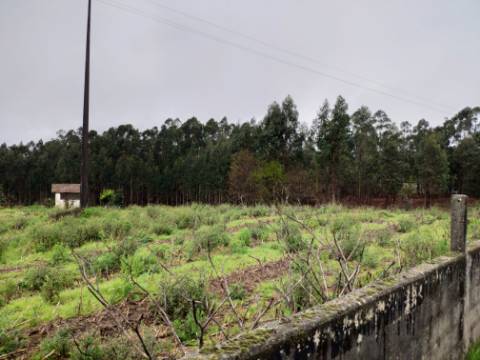 Terreno para Construção em UL, Oliveira de Azeméis