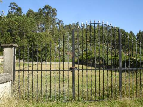 Terreno com 4000m2 em São João de Ver