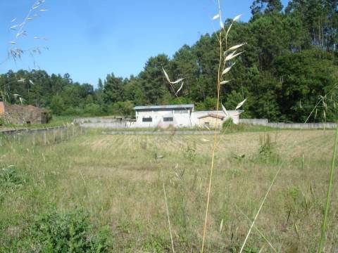 Terreno com 4000m2 em São João de Ver