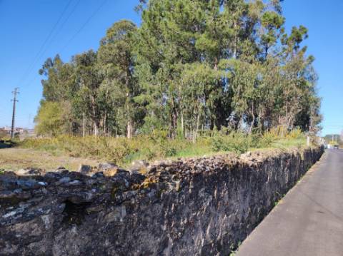 Terreno Urbano com 7500m2 em Souto, Santa Maria da Feira