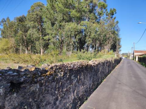 Terreno Urbano com 7500m2 em Souto, Santa Maria da Feira