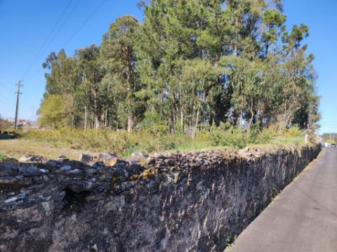 Terreno Urbano com 7500m2 em Souto, Santa Maria da Feira
