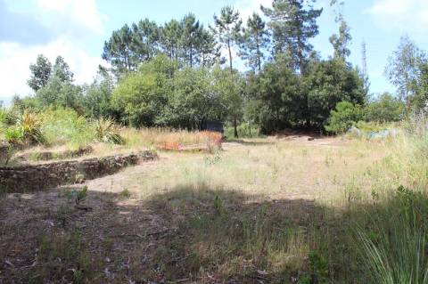 Terreno para construção com 4.080 m2 em Rio Meão