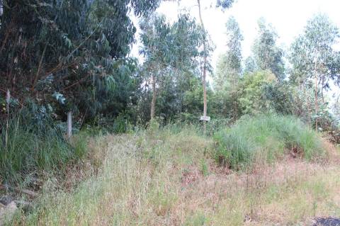 Terreno para construção com 4.080 m2 em Rio Meão