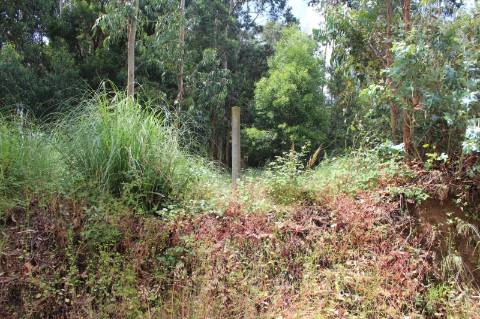 Terreno para construção com 4.080 m2 em Rio Meão