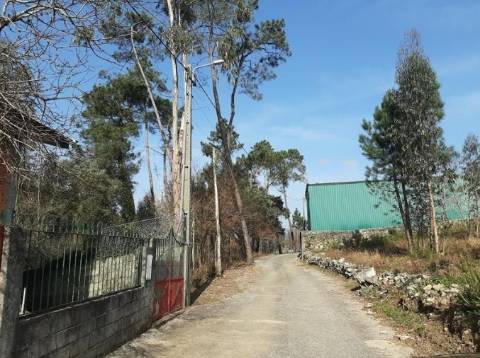 Moradia por Recuperar em Carregosa, Oliveira de Azeméis