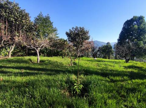 Moradia isolada T3 em Ossela, Oliveira de Azeméis