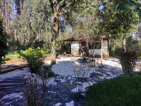 Moradia isolada T3 em Ossela, Oliveira de Azeméis