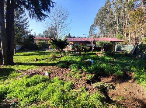 Moradia isolada T3 em Ossela, Oliveira de Azeméis