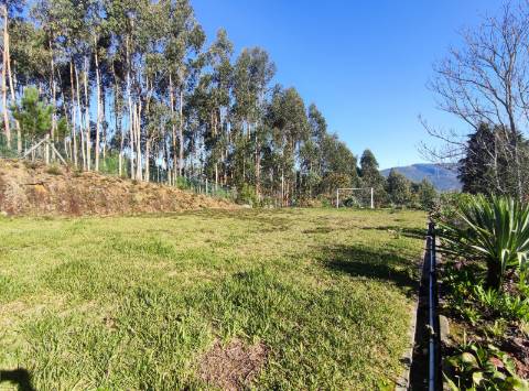 Moradia isolada T3 em Ossela, Oliveira de Azeméis