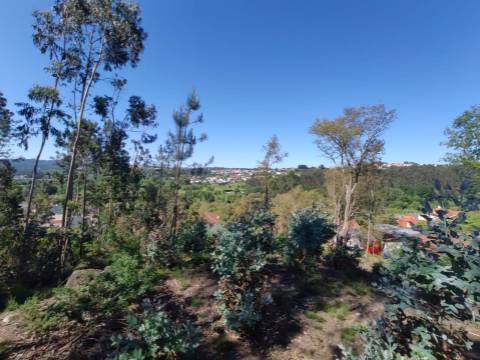 Terreno Urbano em Sanguedo, Santa Maria da Feira