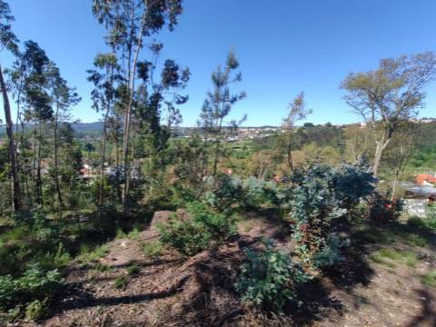 Terreno Urbano em Sanguedo, Santa Maria da Feira