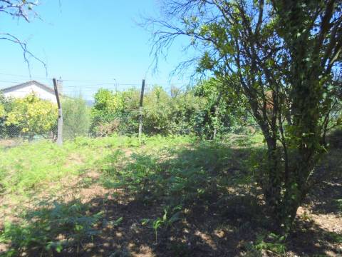 Terreno no centro de São João da Madeira