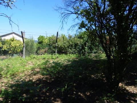 Terreno no centro de São João da Madeira