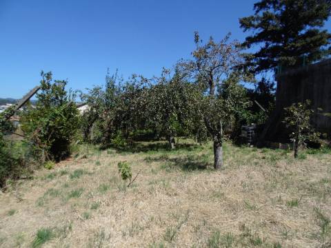 Terreno no centro de São João da Madeira