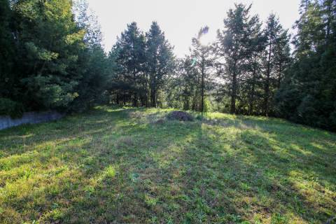 Moradia recuperada com fantástico espaço exterior em Oliveira de Azeméis