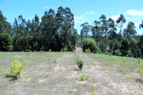 Terreno Rústico com 6.700 m2 em Souto