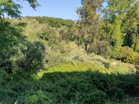 Lotes de terrenos para construção - desde 345m2 até 964m2 - Urbanização Quinta da Borralha