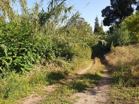 Lotes de terrenos para construção - desde 345m2 até 964m2 - Urbanização Quinta da Borralha