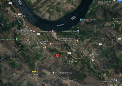 Terreno Rústico em Castelo de Paiva