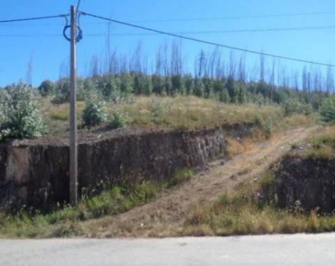 Terreno Rústico em Castelo de Paiva