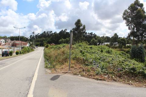 Terreno com 6.579 m2 em São Paio de Oleiros