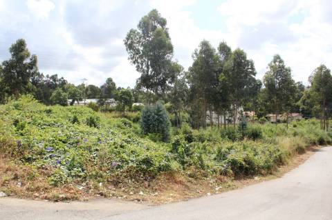 Terreno com 6.579 m2 em São Paio de Oleiros