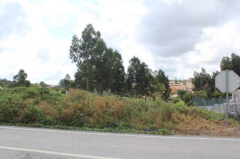 Terreno com 6.579 m2 em São Paio de Oleiros