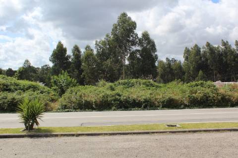 Terreno com 6.579 m2 em São Paio de Oleiros