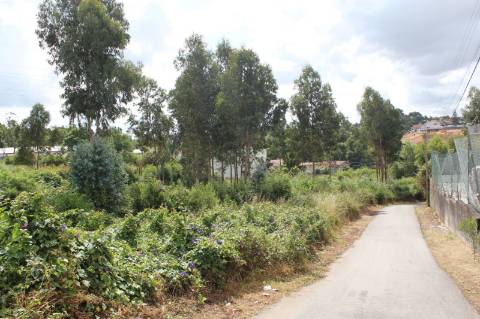 Terreno com 6.579 m2 em São Paio de Oleiros
