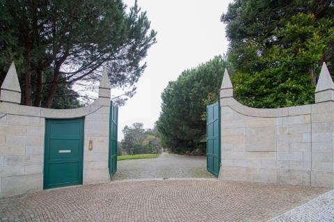 Quinta - Oliveira de Azeméis