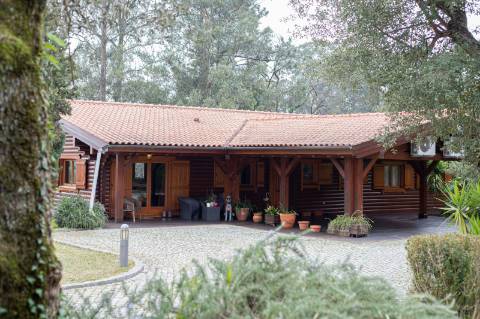 Quinta - Oliveira de Azeméis