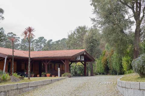 Quinta - Oliveira de Azeméis