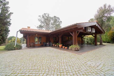 Quinta - Oliveira de Azeméis