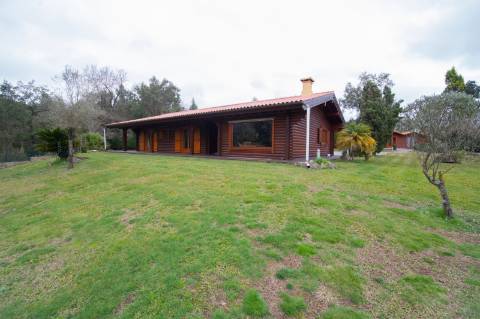 Quinta - Oliveira de Azeméis