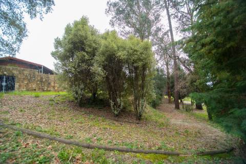 Quinta - Oliveira de Azeméis