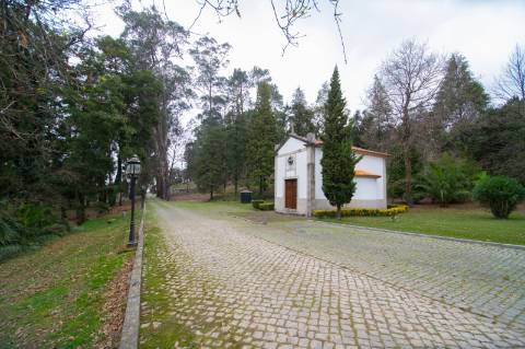 Quinta - Oliveira de Azeméis